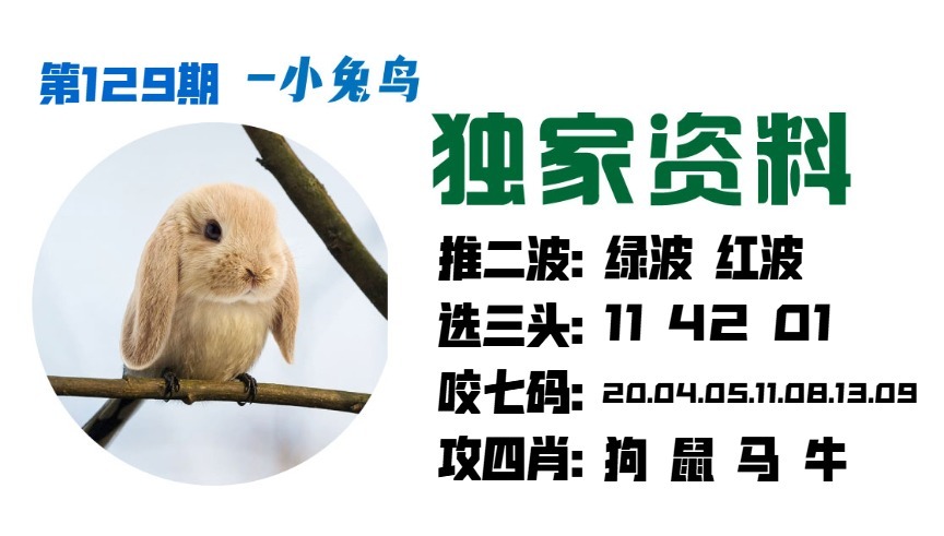 129期小兔鸟[图]